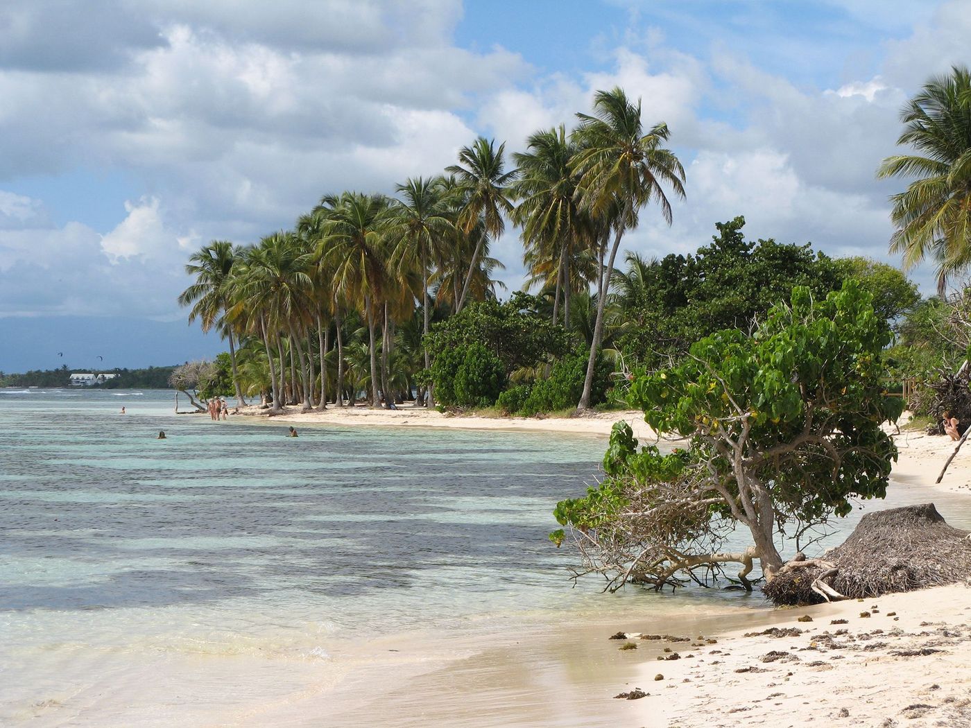 Guadeloupe Bois Jolan