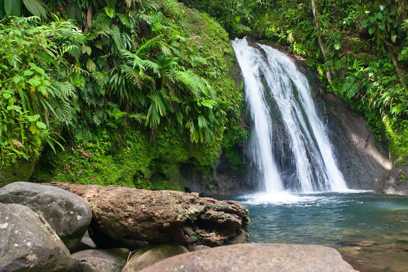 Guadeloupe Cascade aux écrevisses