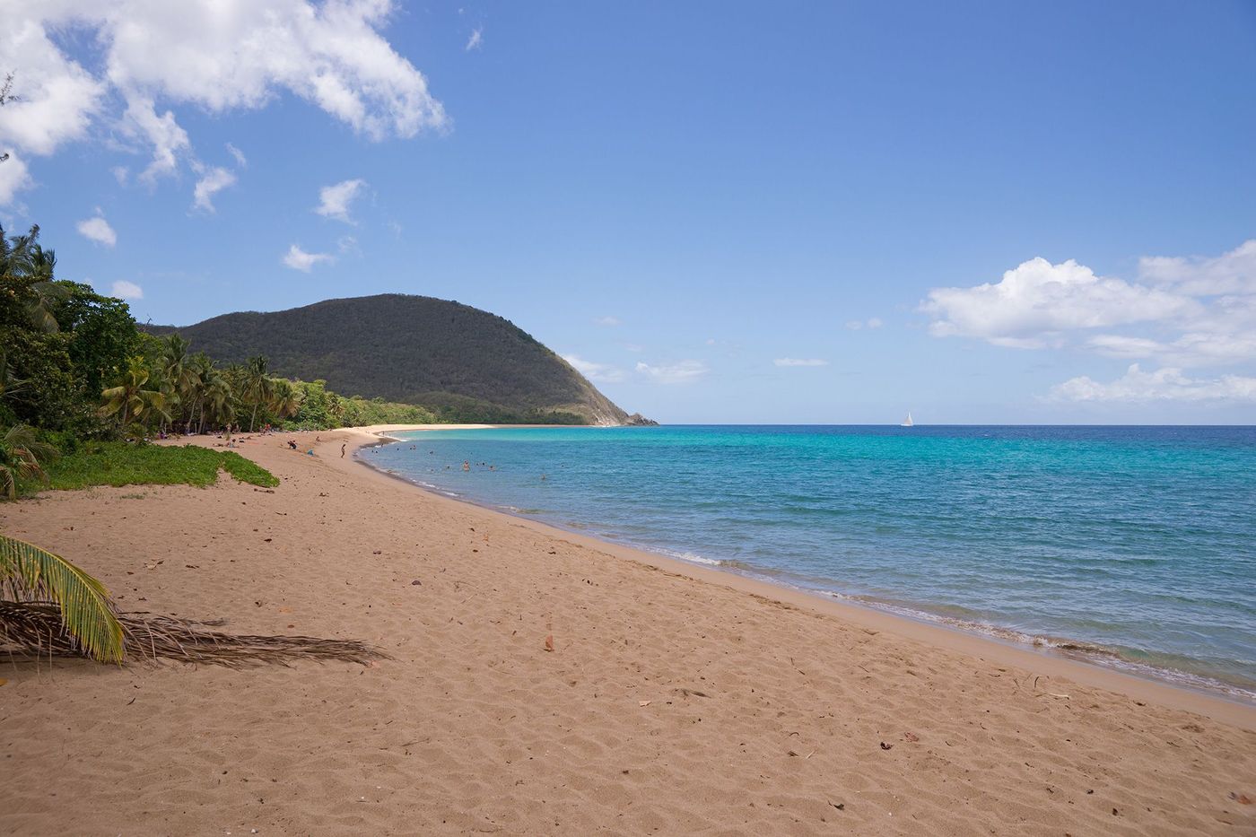 Guadeloupe Deshaies Grande Anse