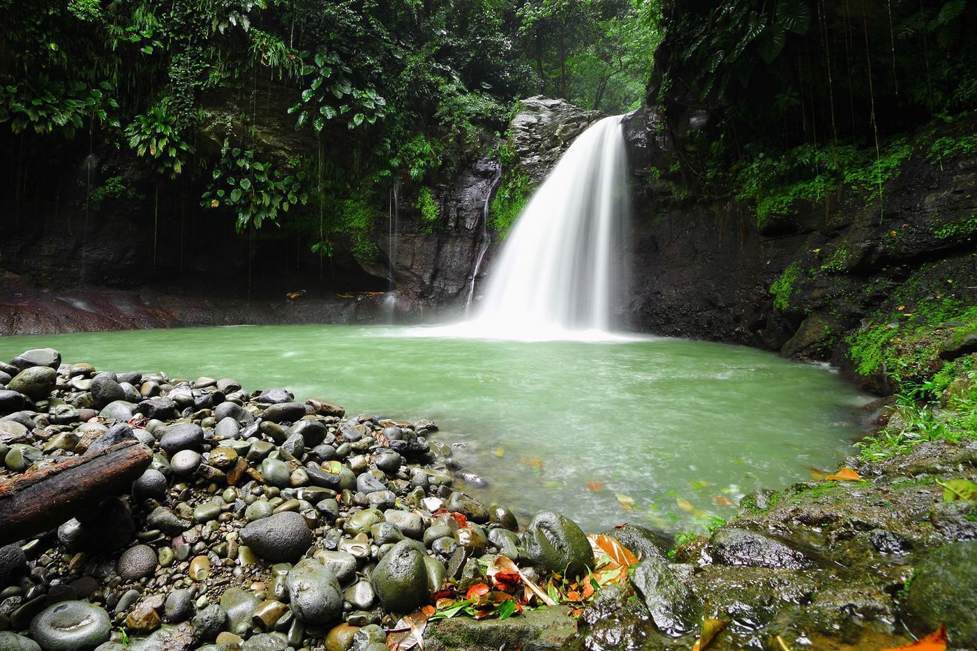 Guadeloupe Saut de la Lézarde