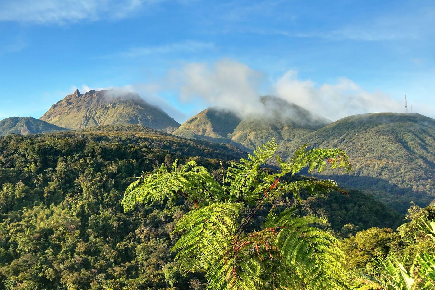Guadeloupe La Soufrière