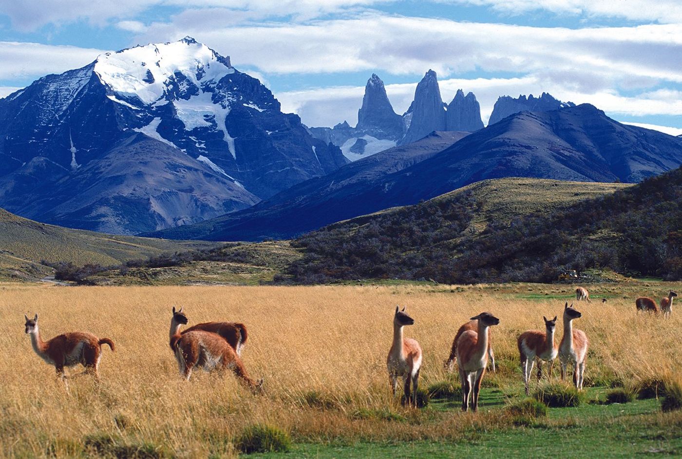 Parc Torres del Paine