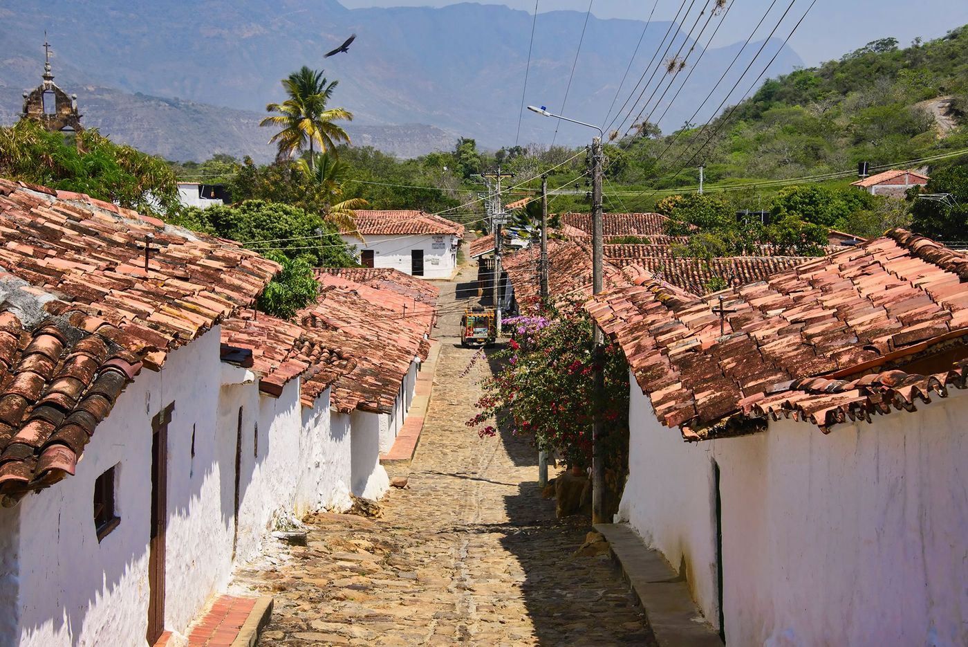Guane