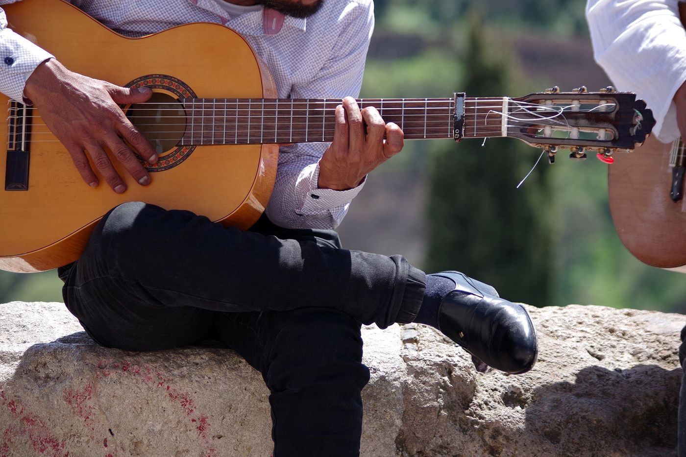 Guitariste de Flamenco