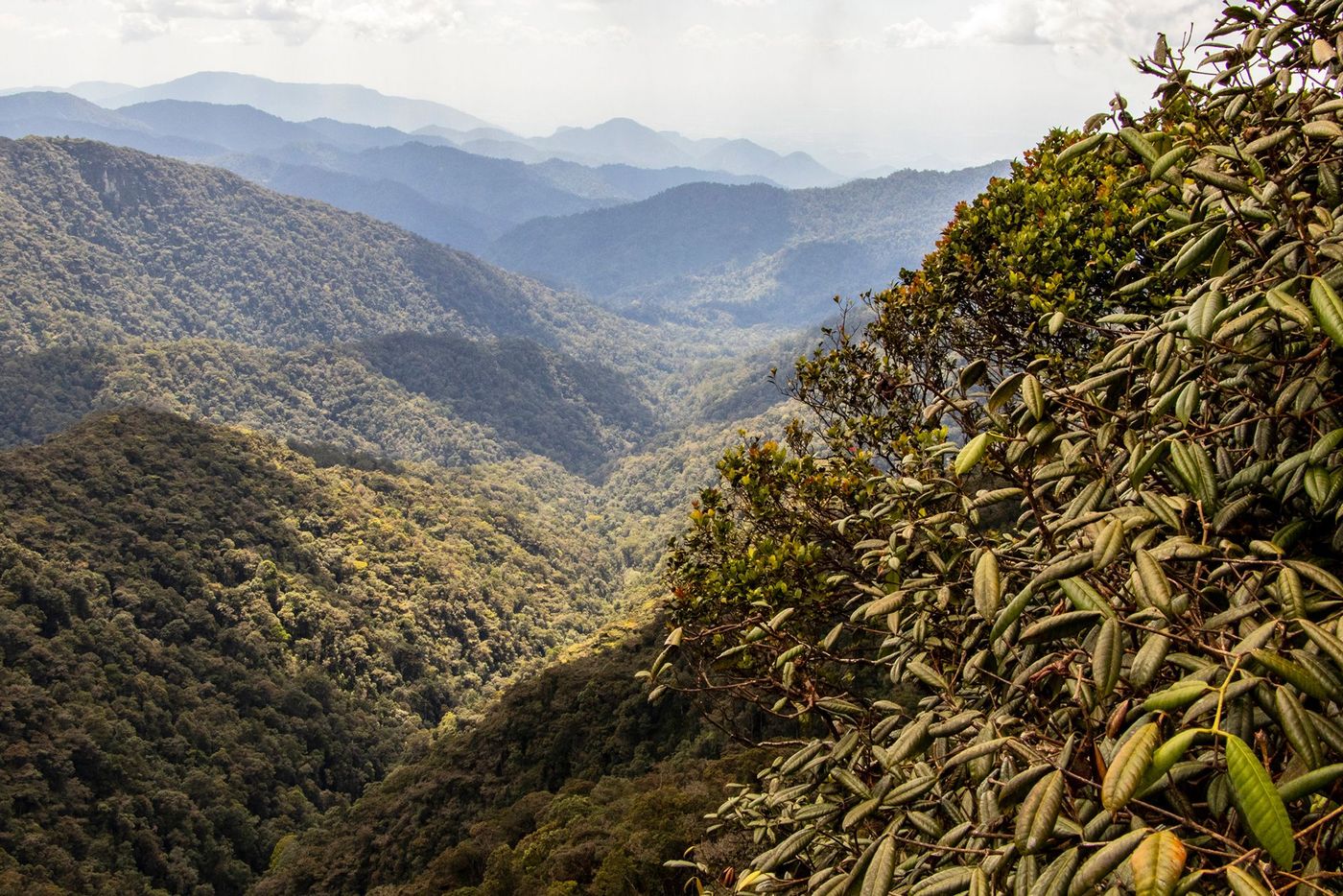 Malaisie Panorama depuis la tour du Gunung Brichang