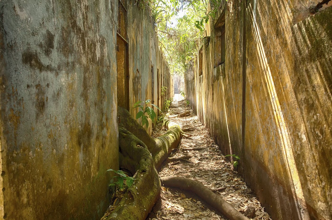 Guyane Iles du Salut ile Saint-Joseph Bagne