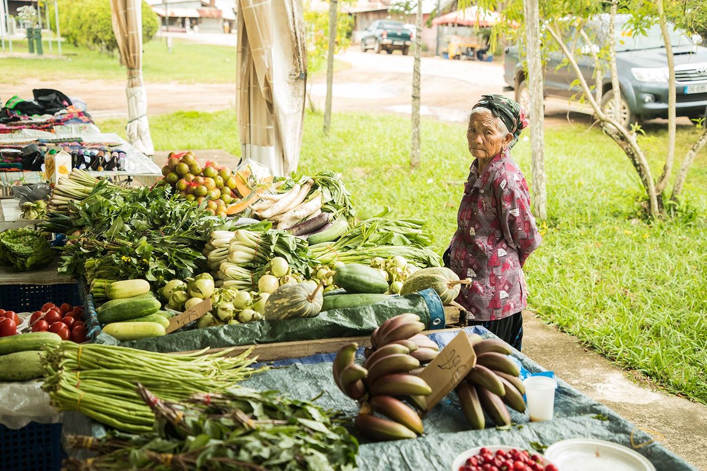 Guyane Marché Hmong