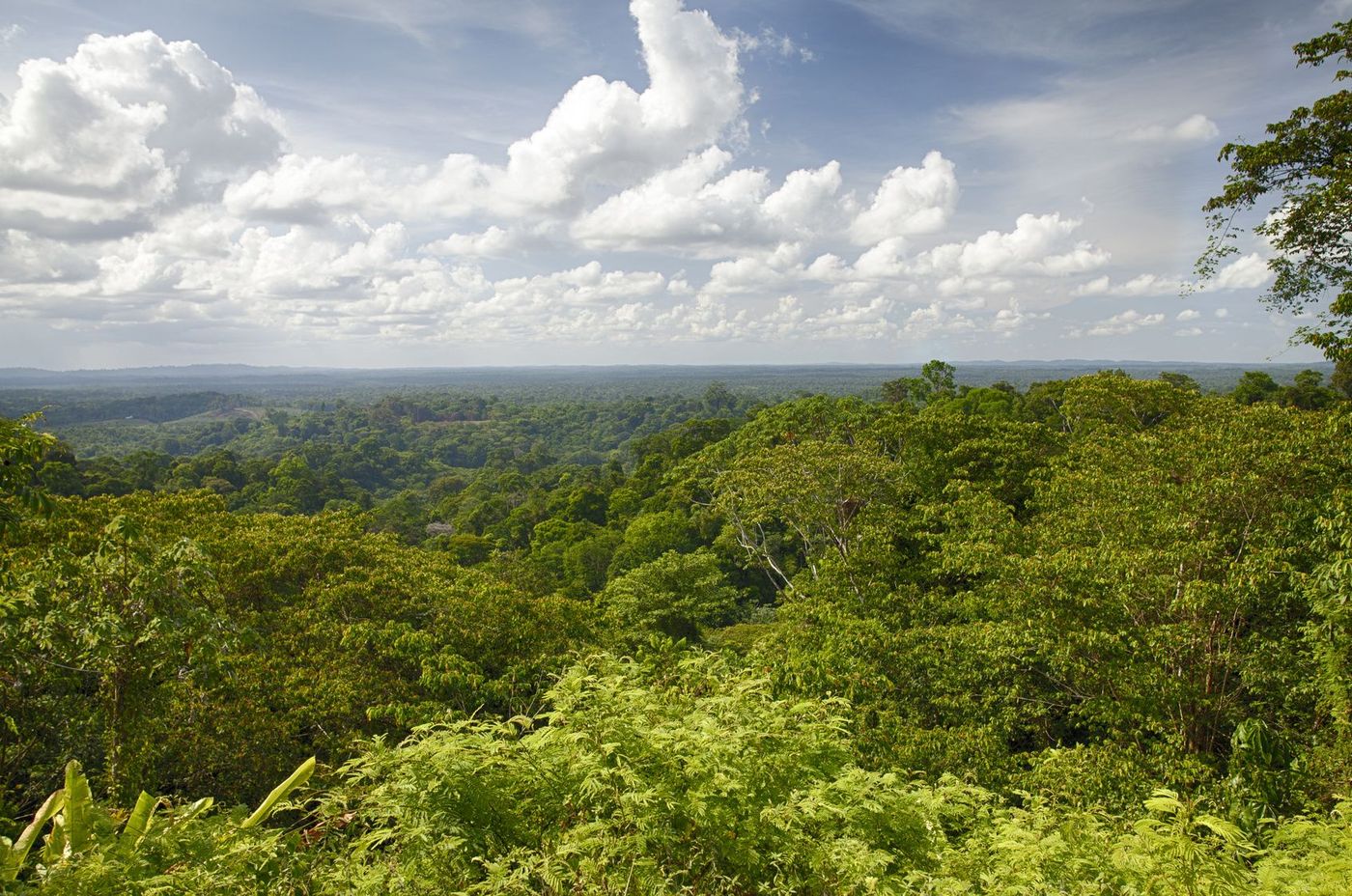 Guyane