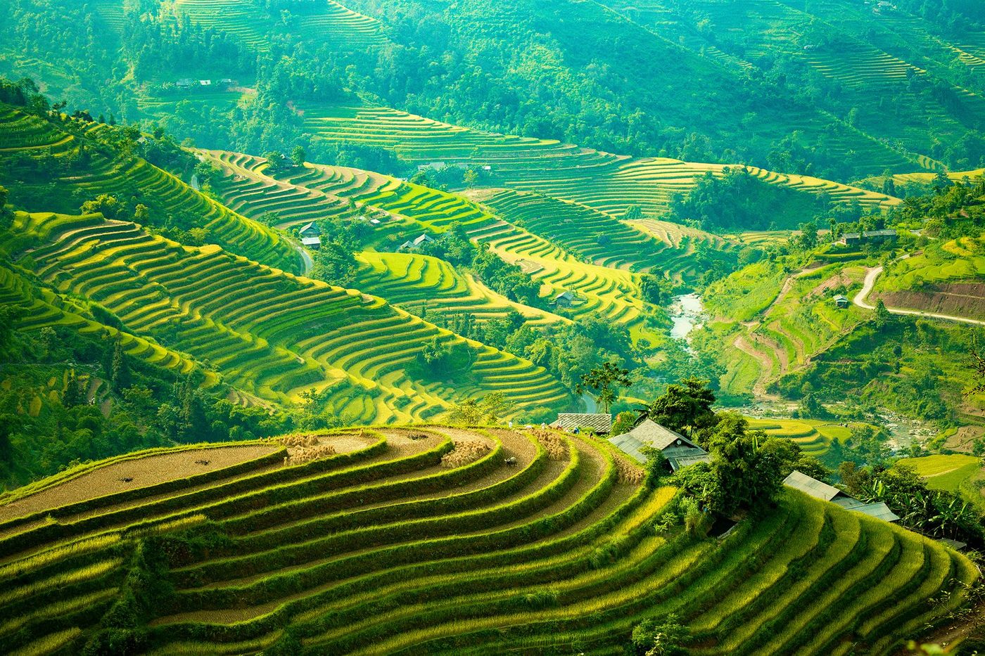 Rizières de Hà Giang
