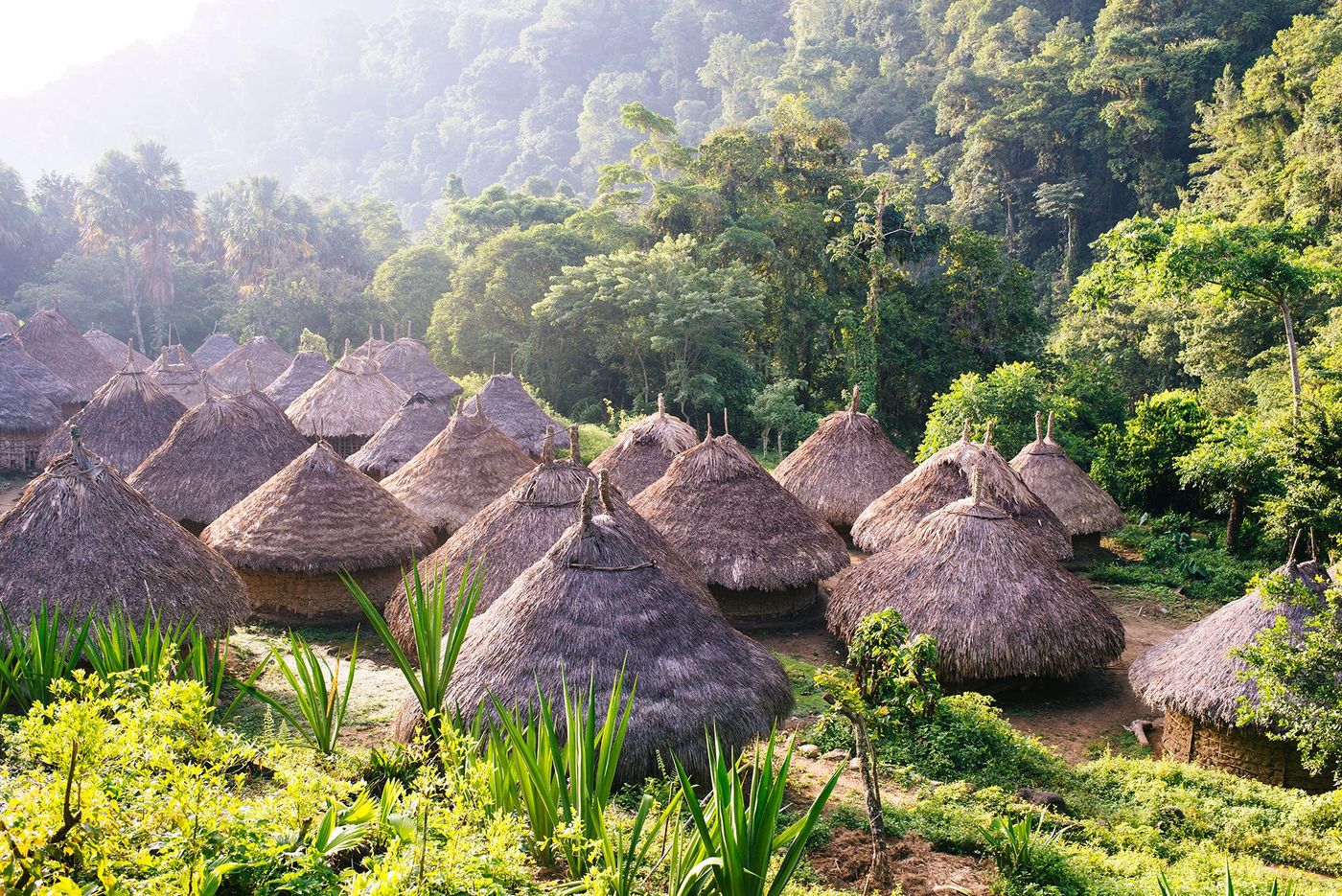 Habitation des Kogis