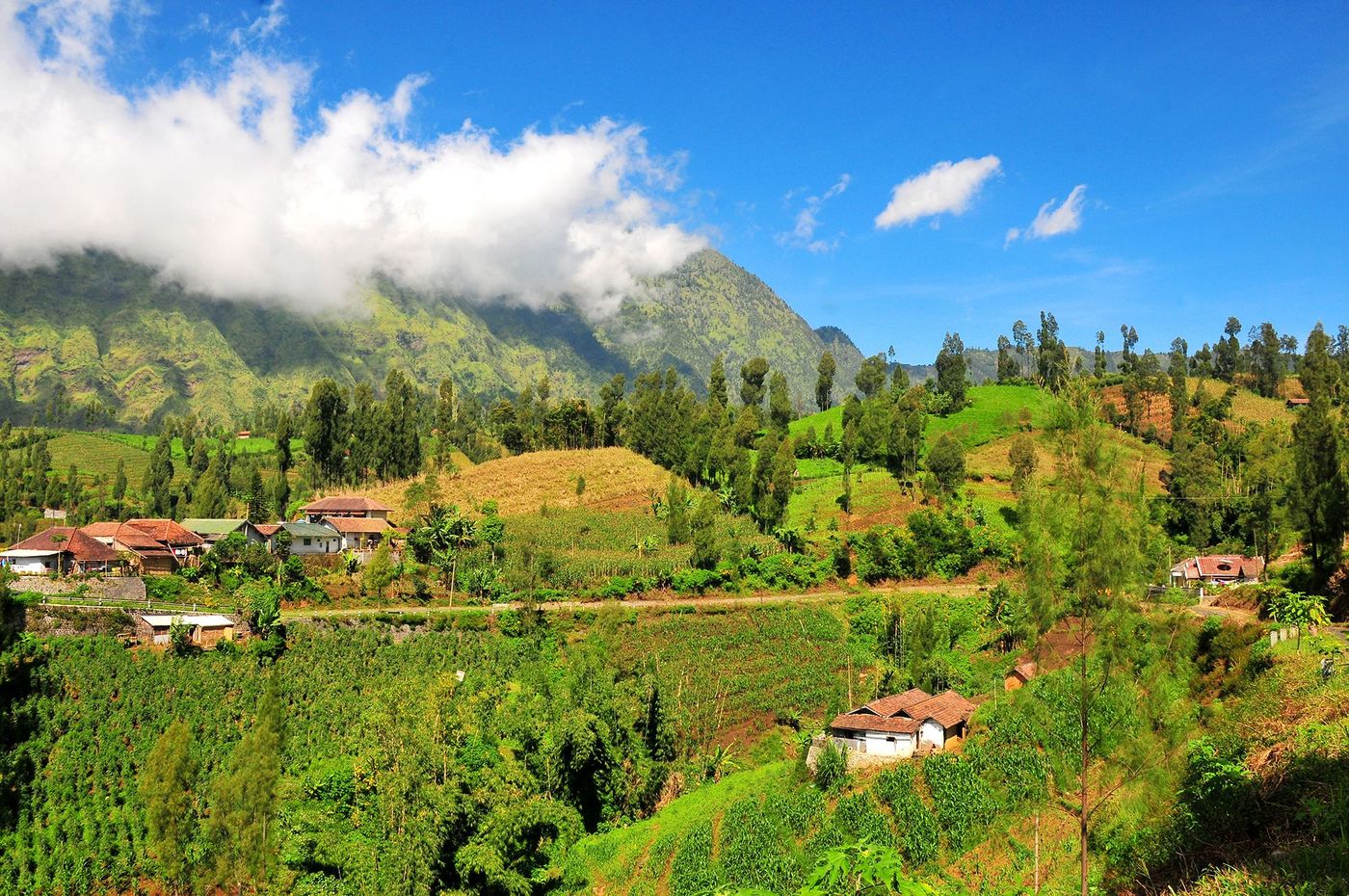 Habitations des Tenggers