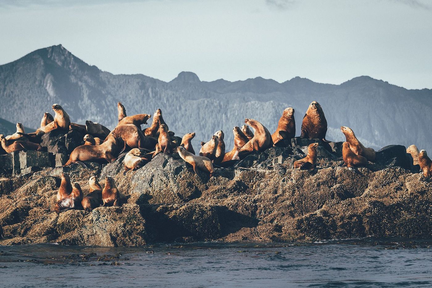 Canada Gwaii Haanas