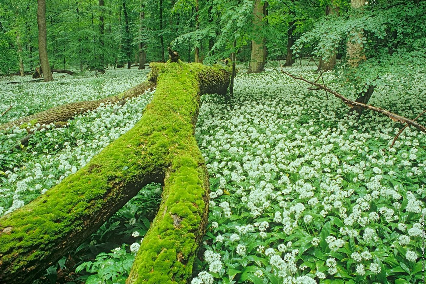 Eichsfeld-Hainich-Werratal