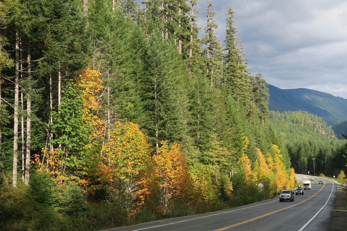 Ile de Vancouver Highway 4