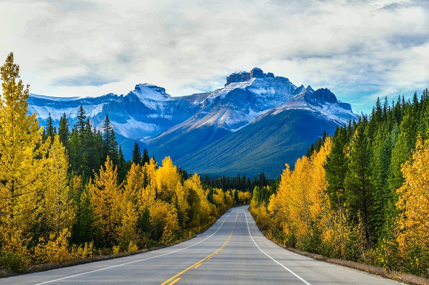 Highway 93 - Parc national de Jasper