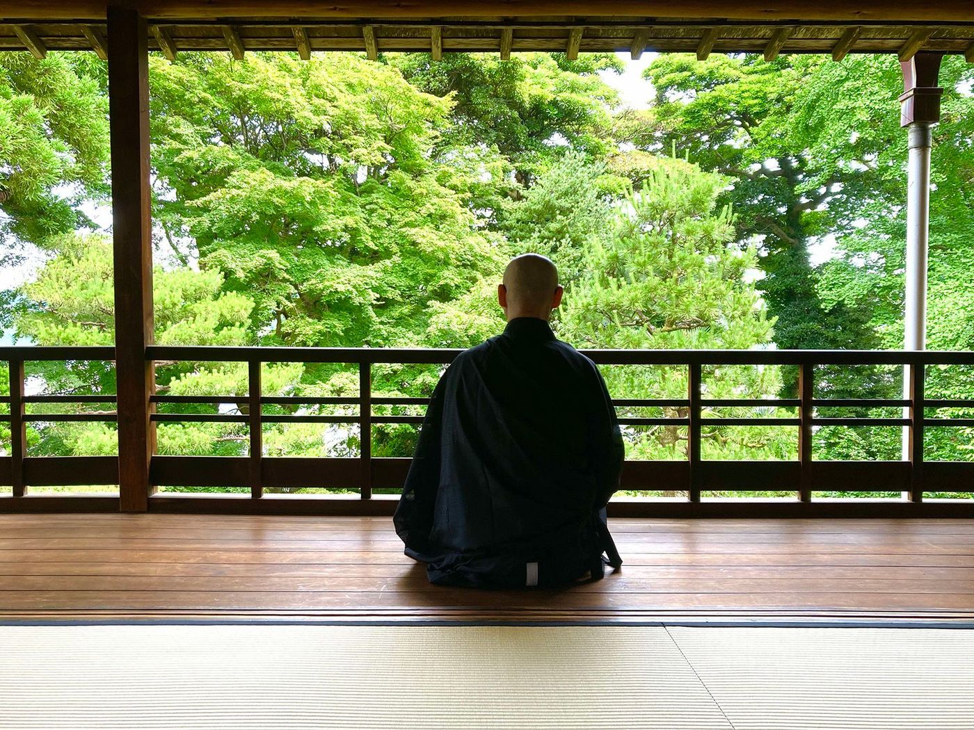 Expérience zen