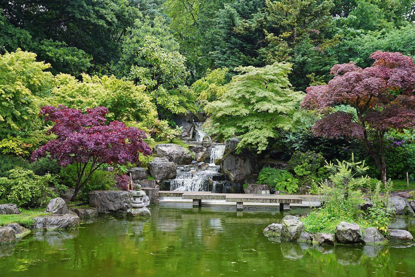Londres Holland Park Kyoto Garden