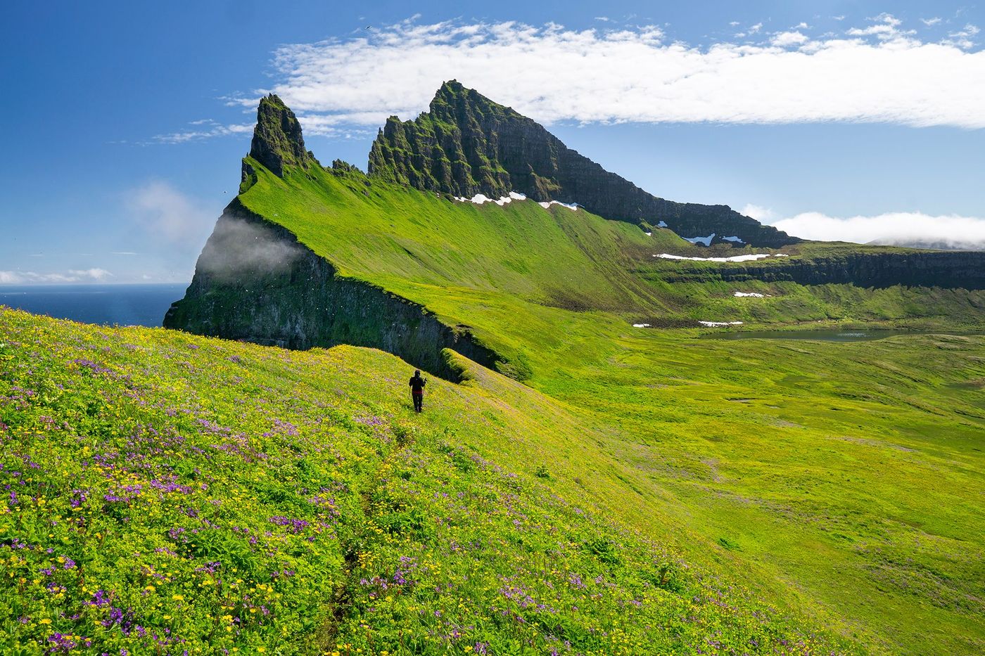 Hornbjarg - Péninsule du Hornstrandir