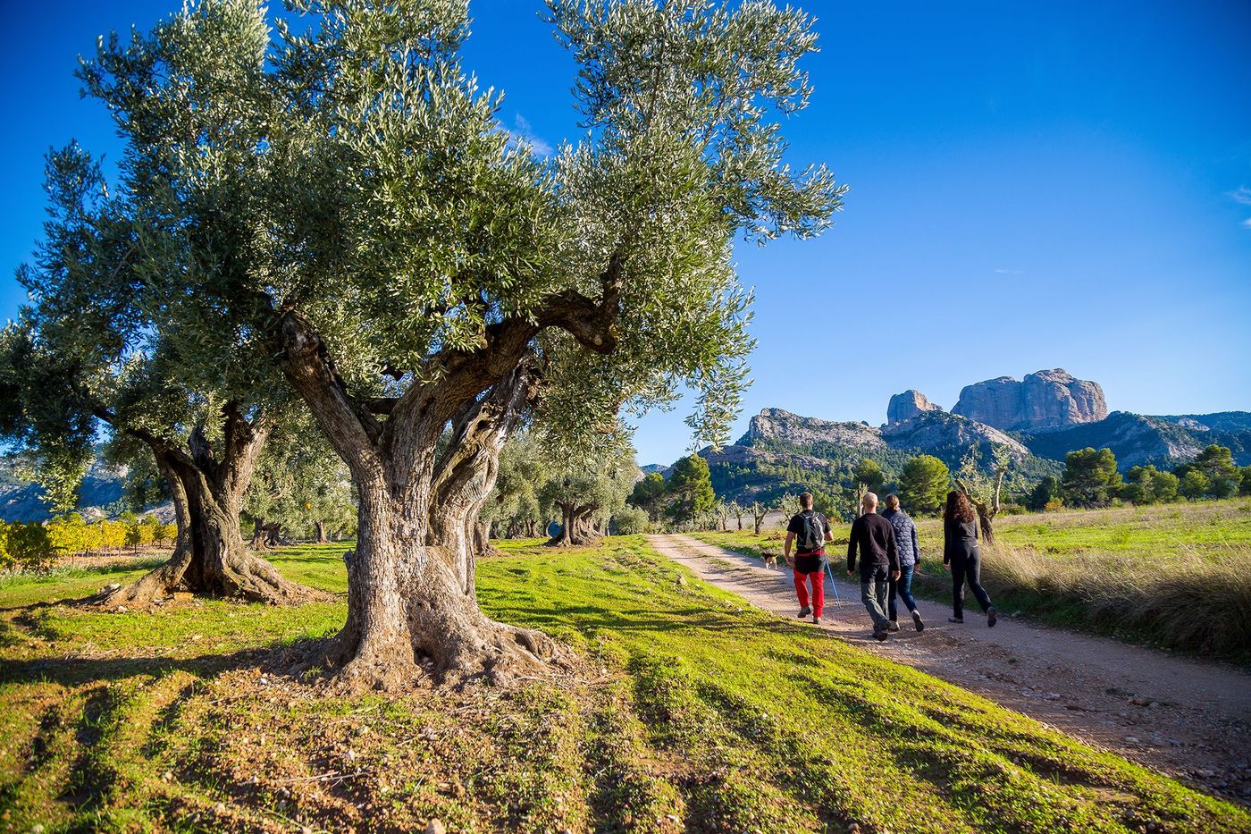Horta de Sant Joan