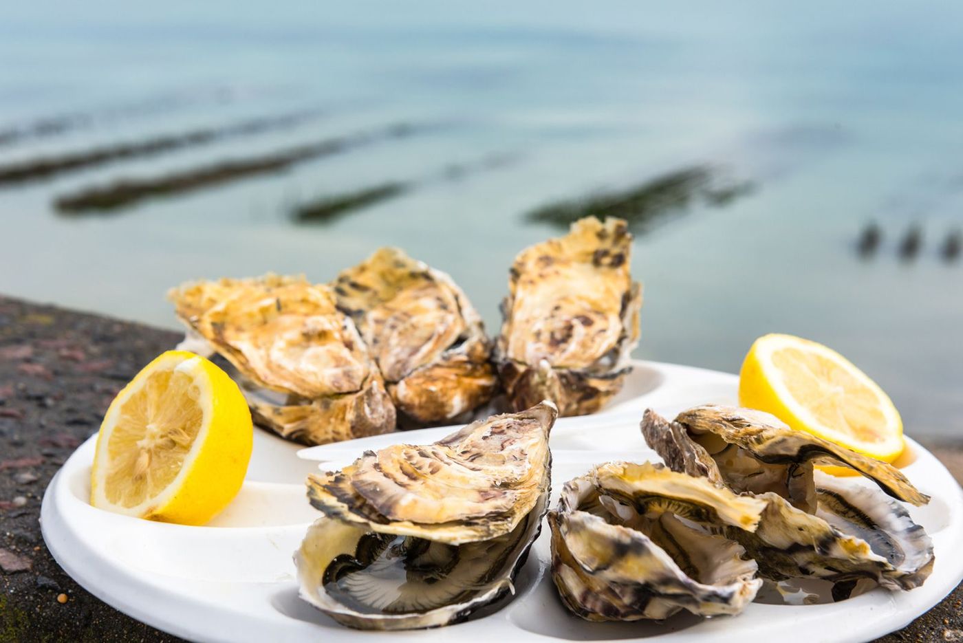 Gastronomie Huitres Bretagne