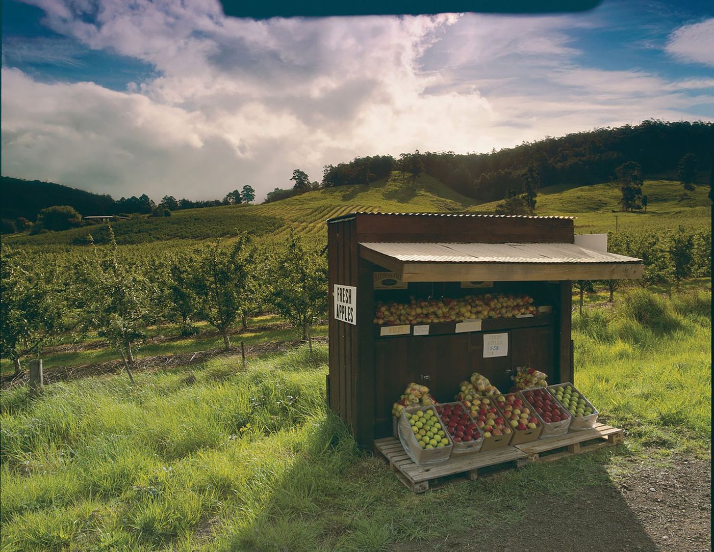 Huon Valley