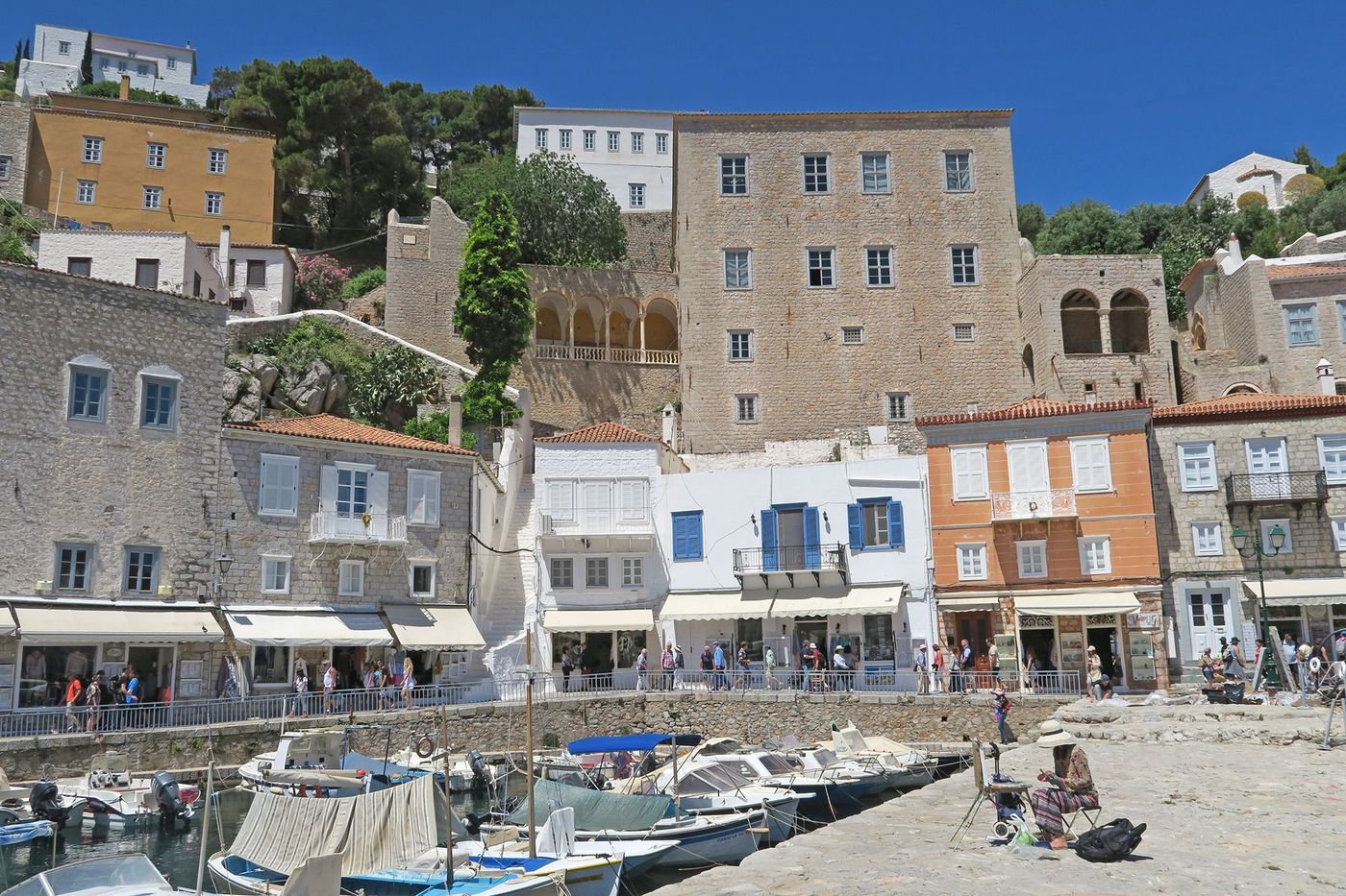 Hydra