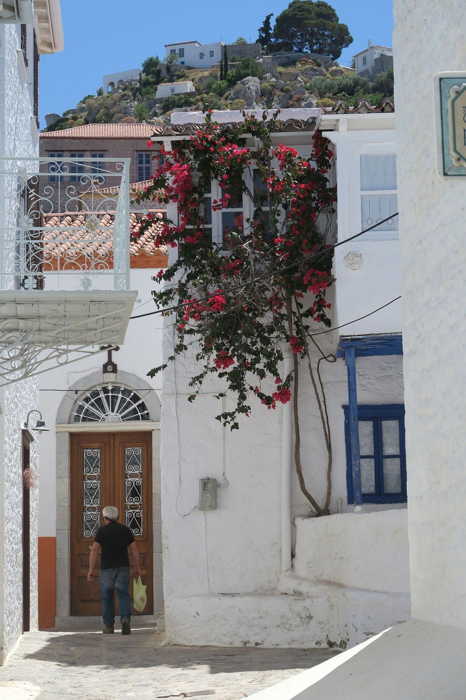 Hydra Ruelle