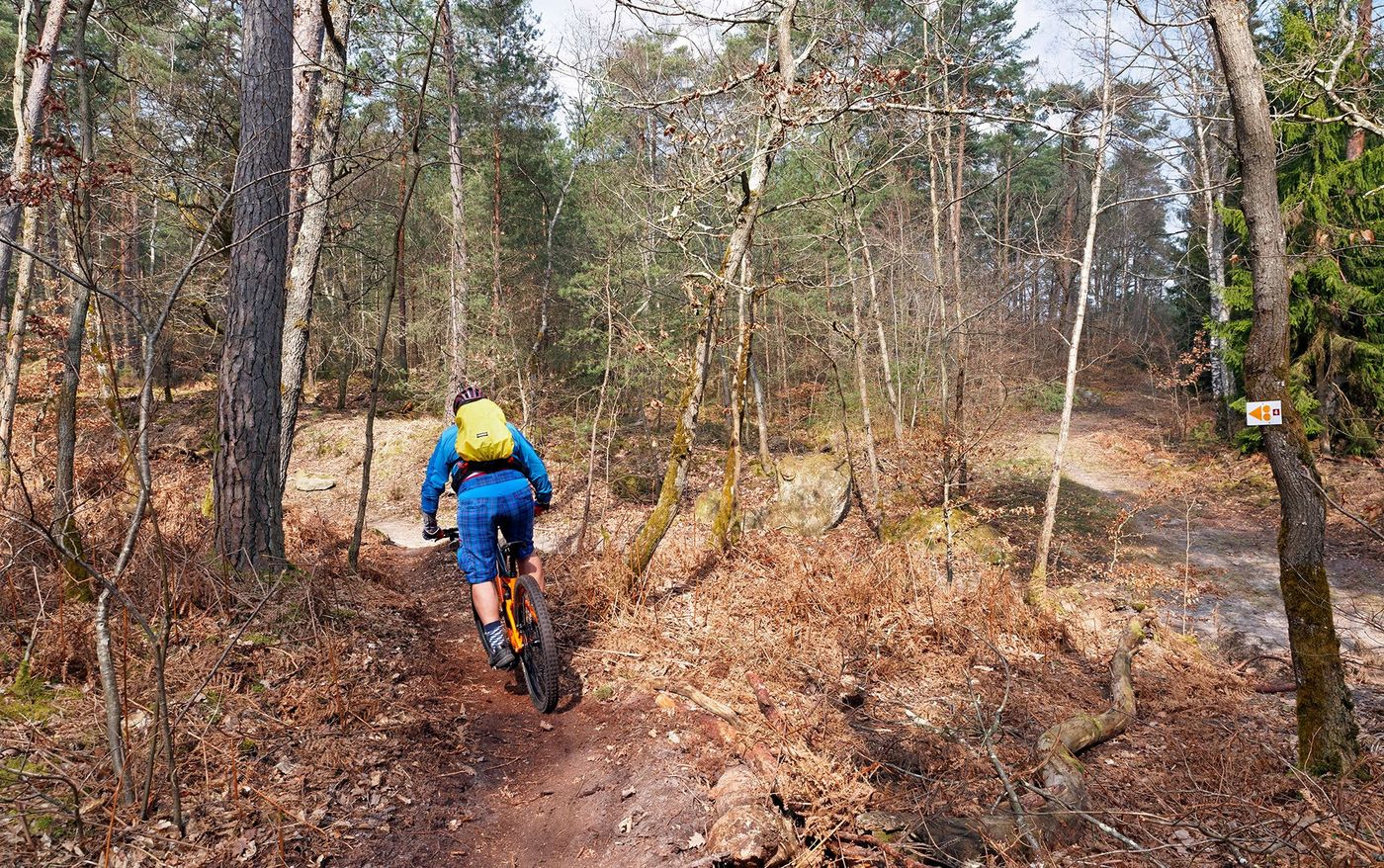 Fontainebleau VTT