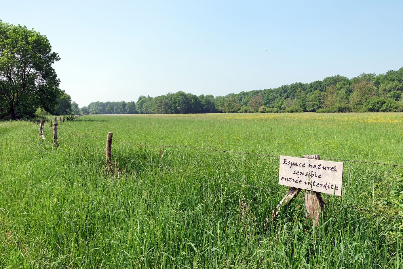 Réserve de la Plaine de Sorques
