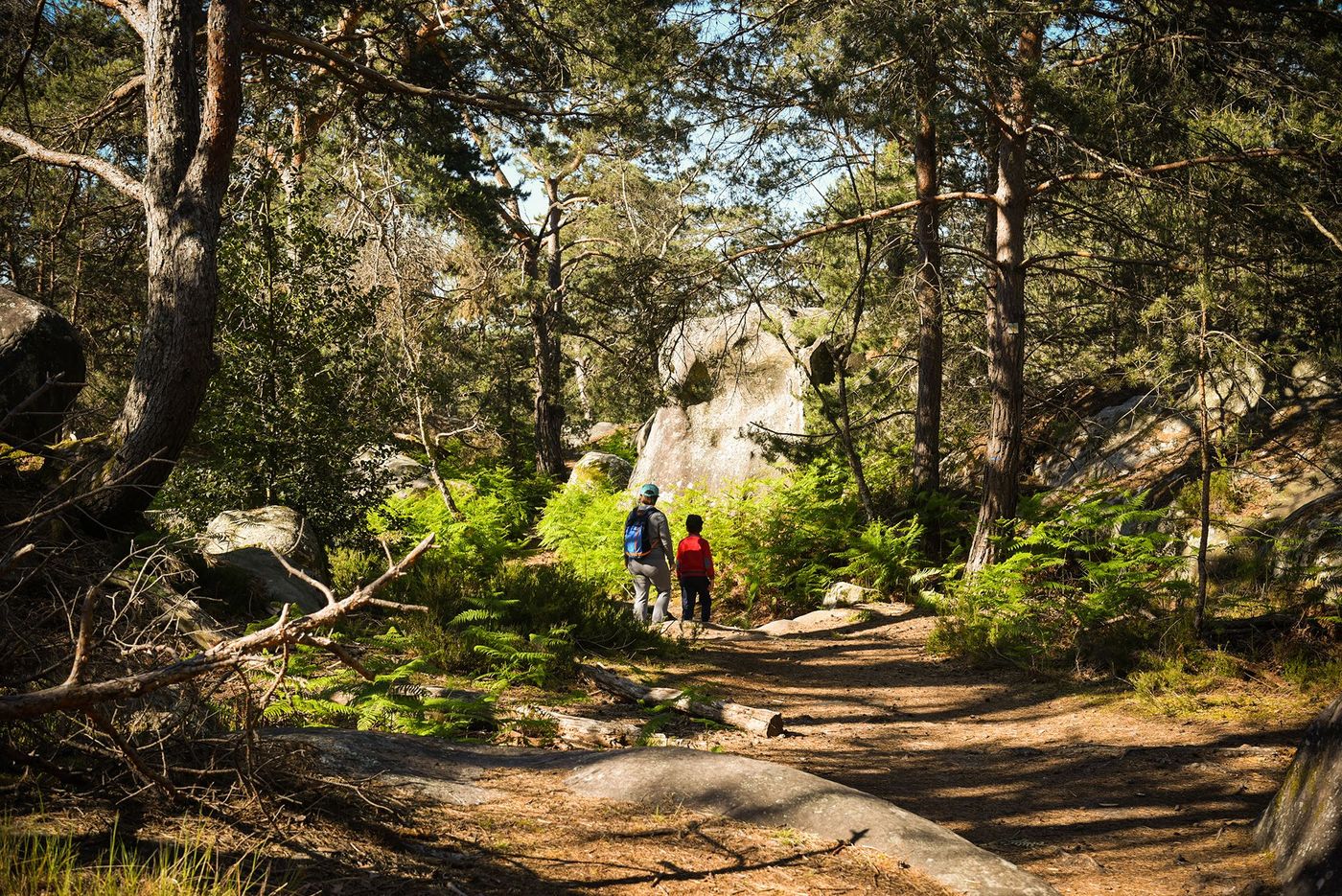 Ile-de-France Fontainebleau