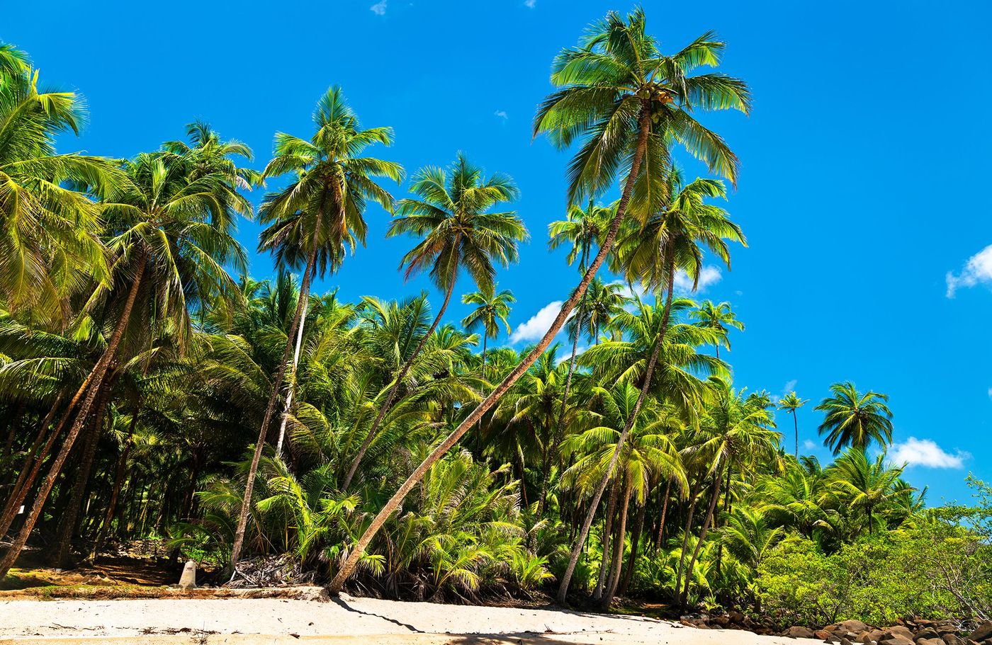 île Saint-Joseph - plage