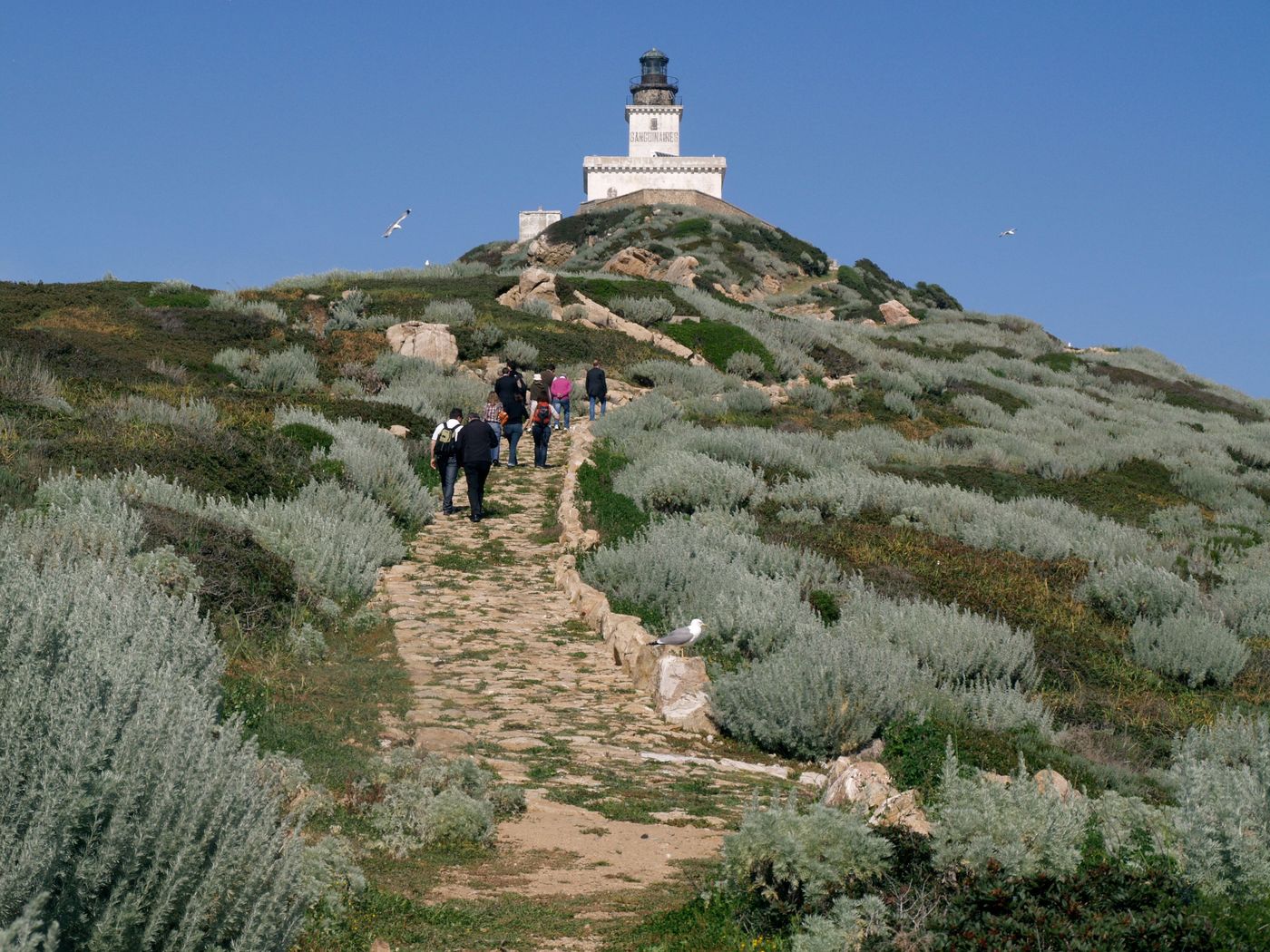 France Corse Îles Sanguinaires Pointe de la Parata