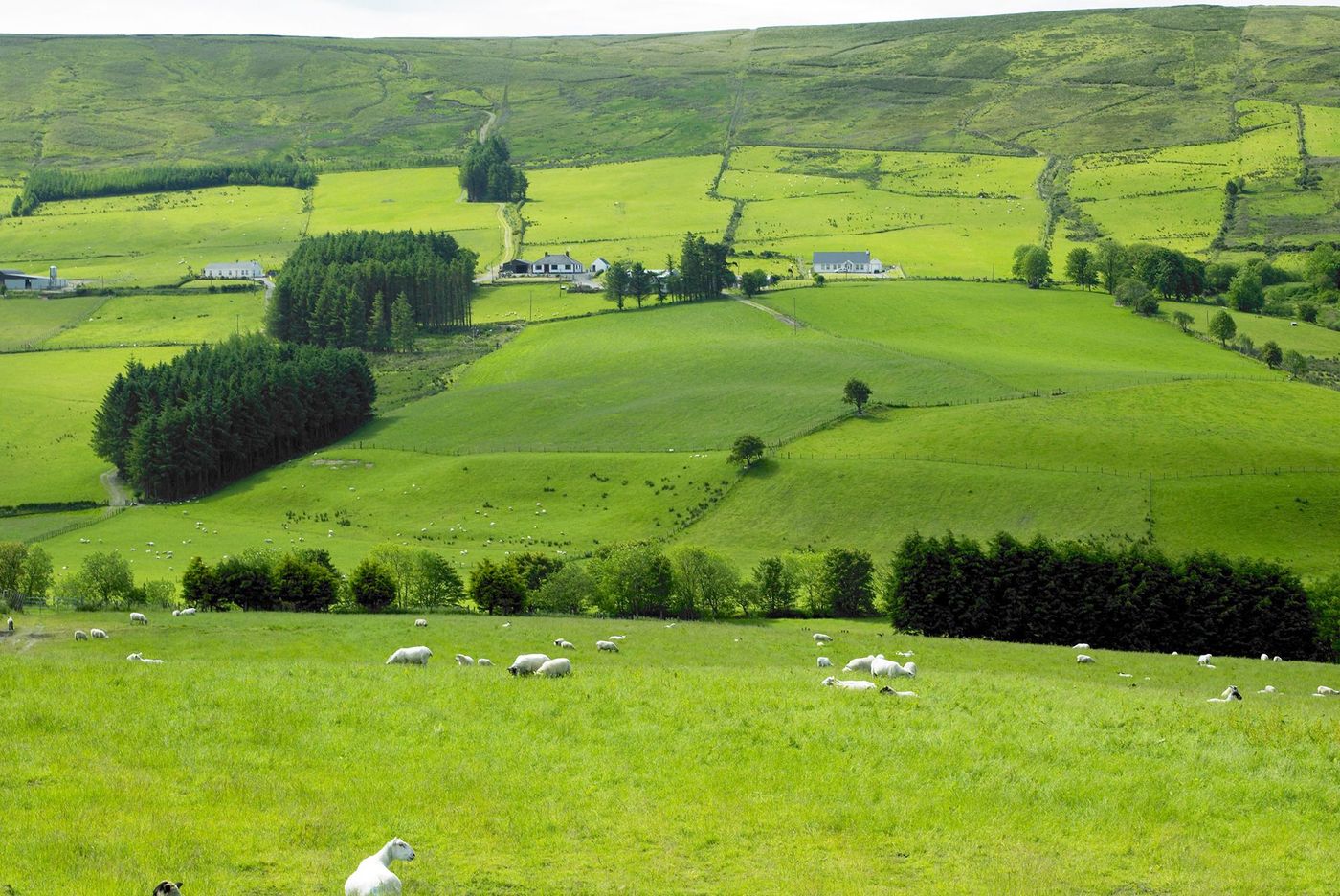 Irlande Sperrin Mountains