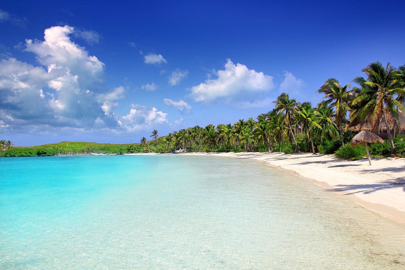 isla Contoy