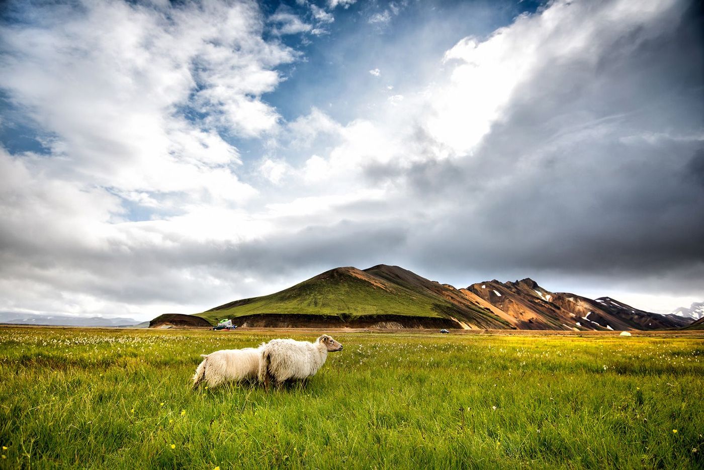Islande Landmannalaugar