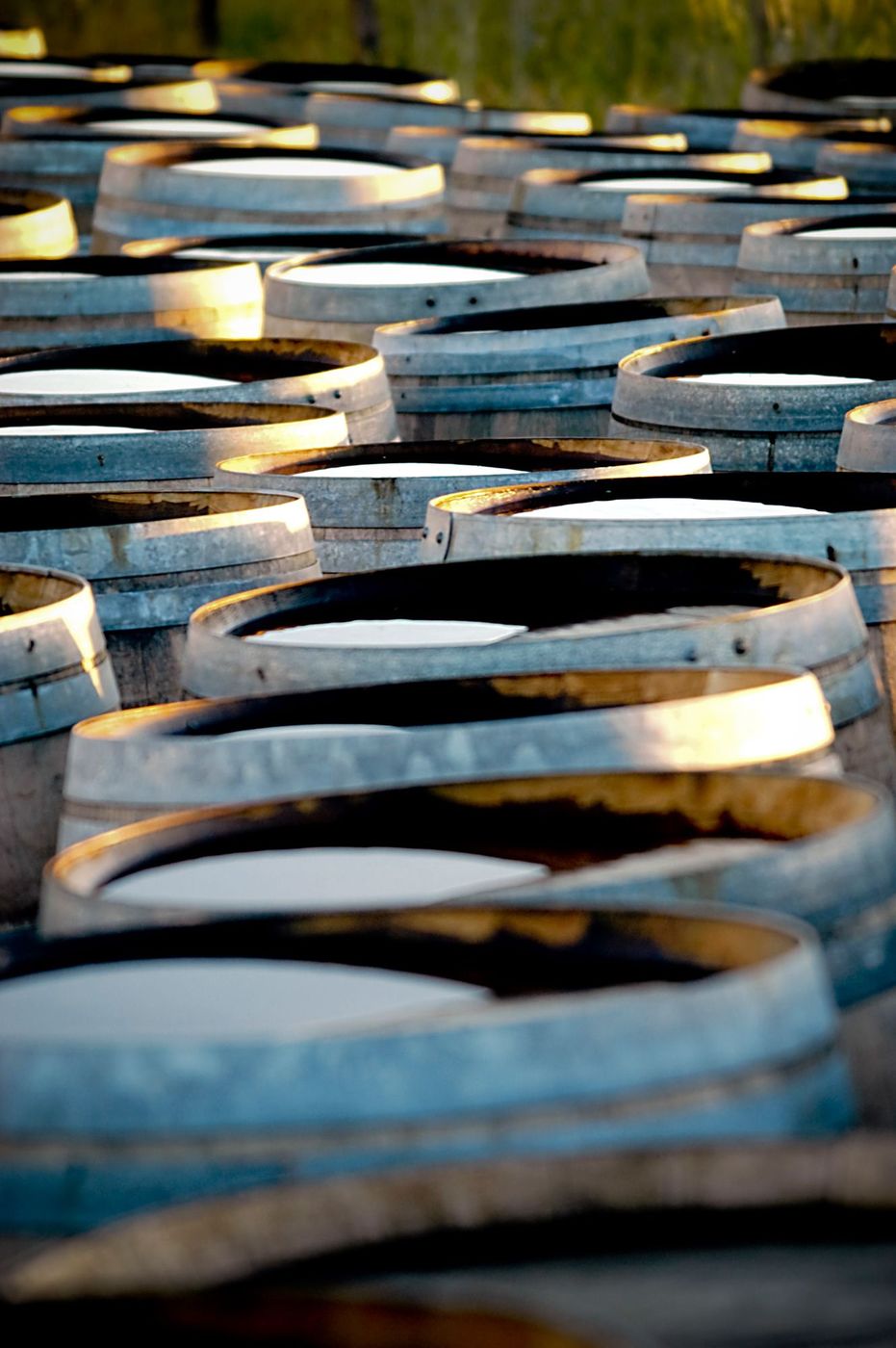 Afrique du Sud - Dégustation de vin