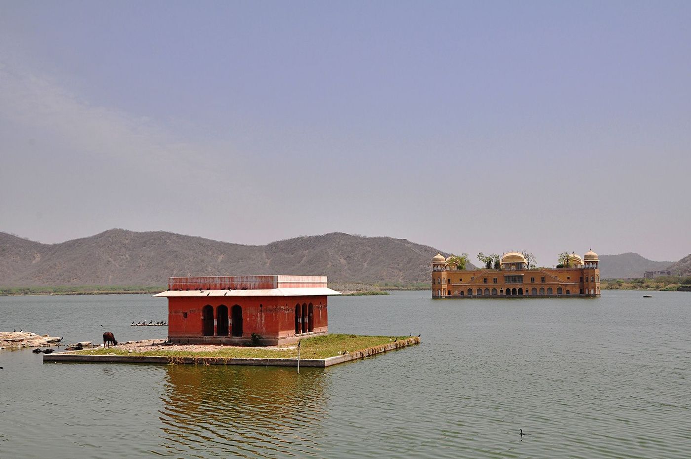 Inde Rajasthan Jaipur Jal Mahal