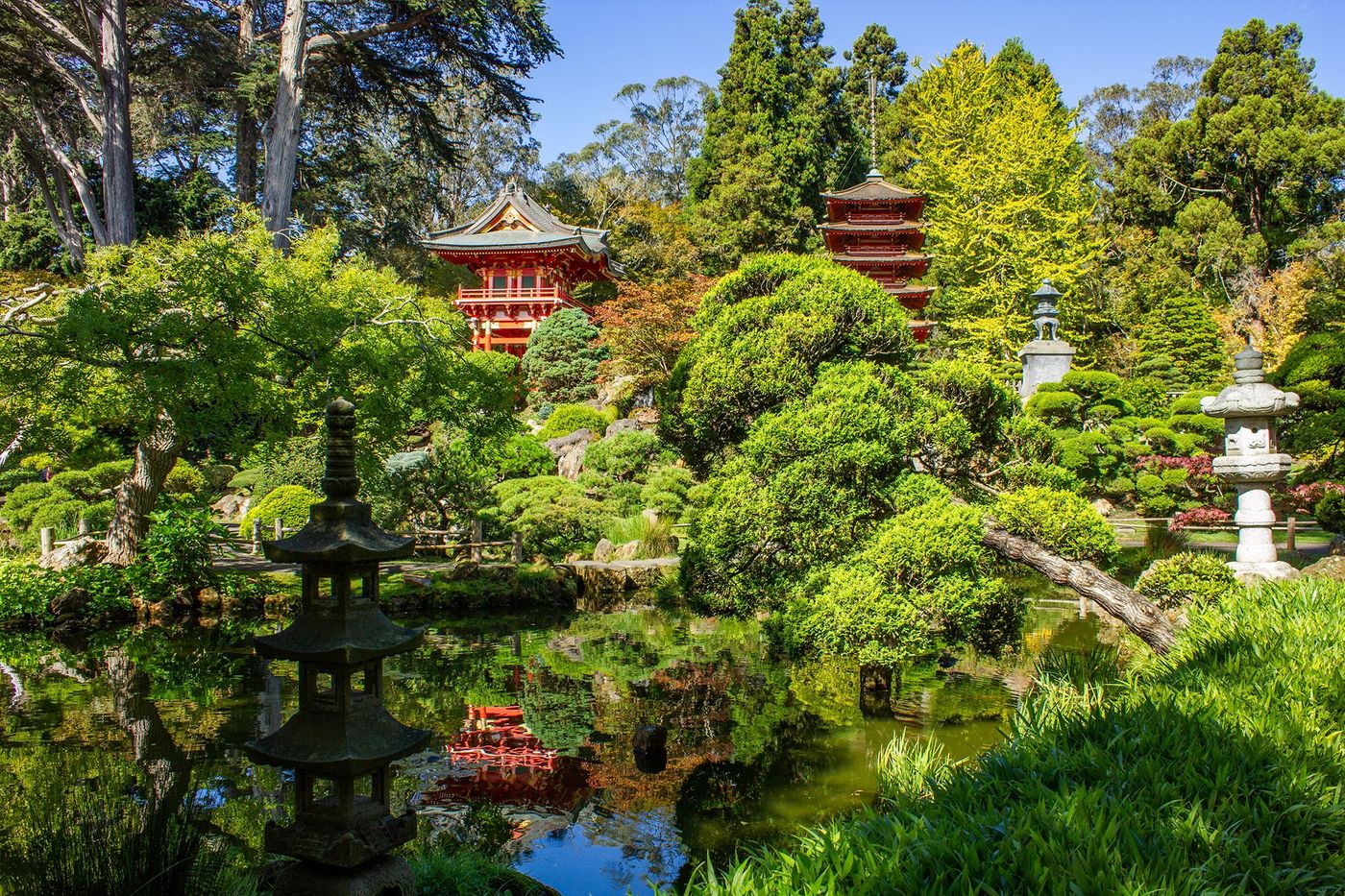 Japanese Tea Garden in Golden Gate Park