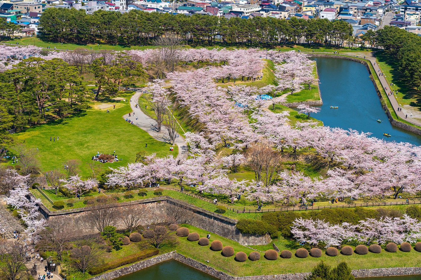 Japon Hakodate Goryokaku Park