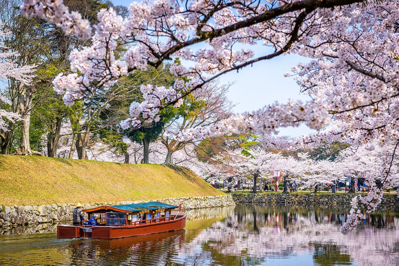 Japon Hikone Parc du château