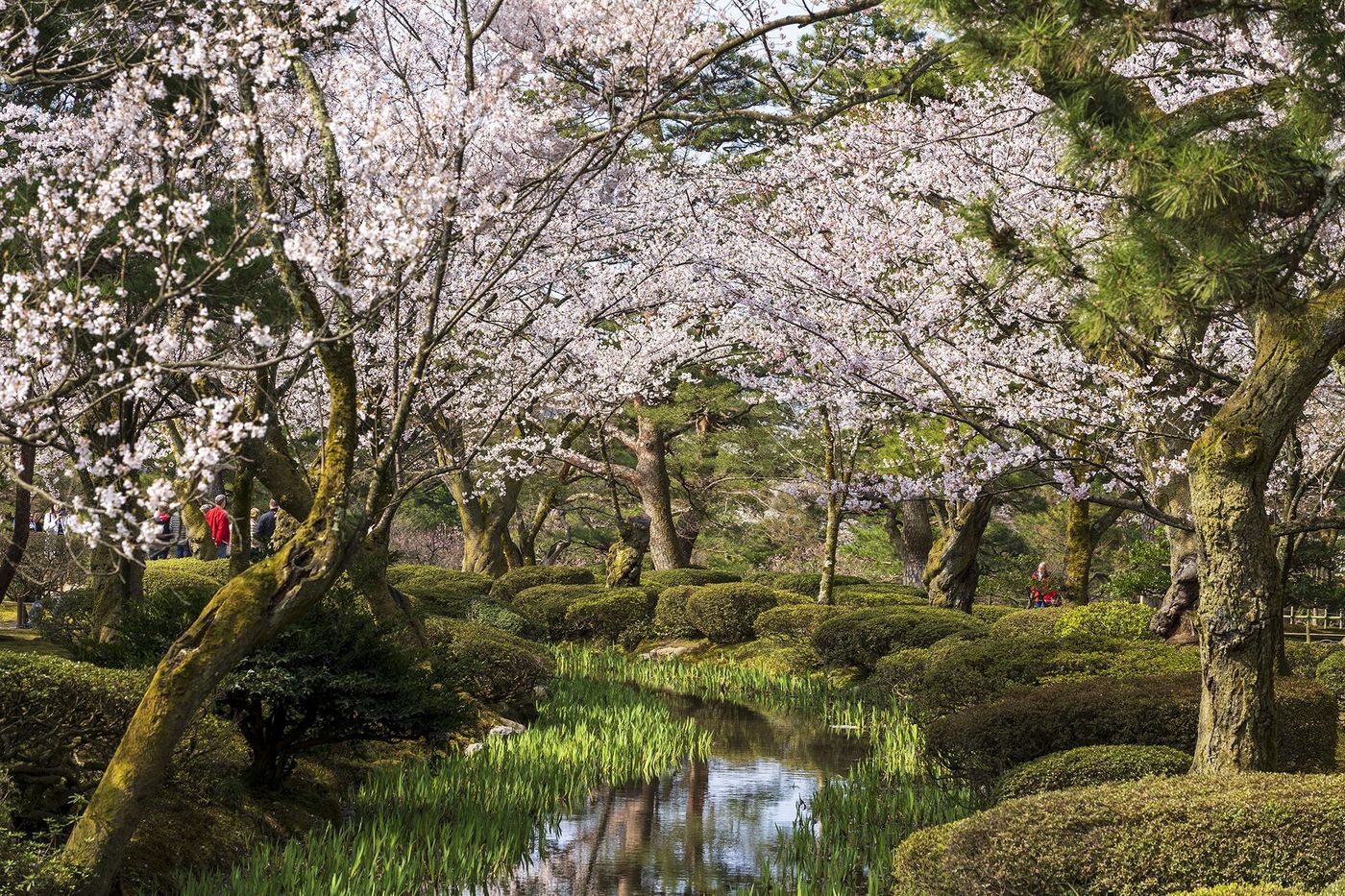Japon Kanazawa Kenroku-en