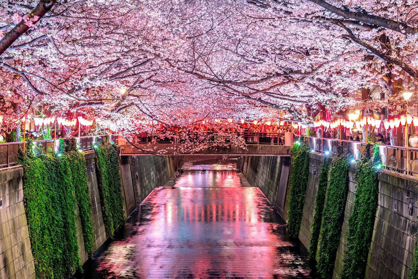 Japon Tokyo Meguro River