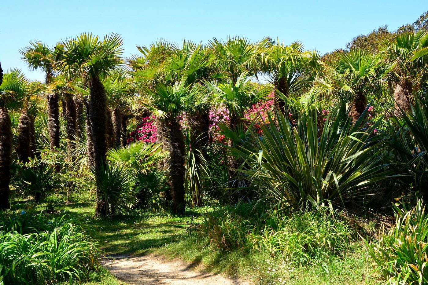 Jardin botanique de Vauville