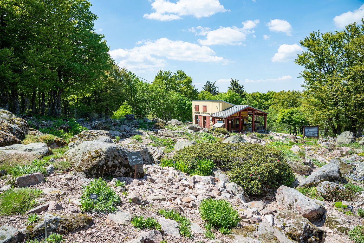 Jardin d’altitude du Haut Chitelet