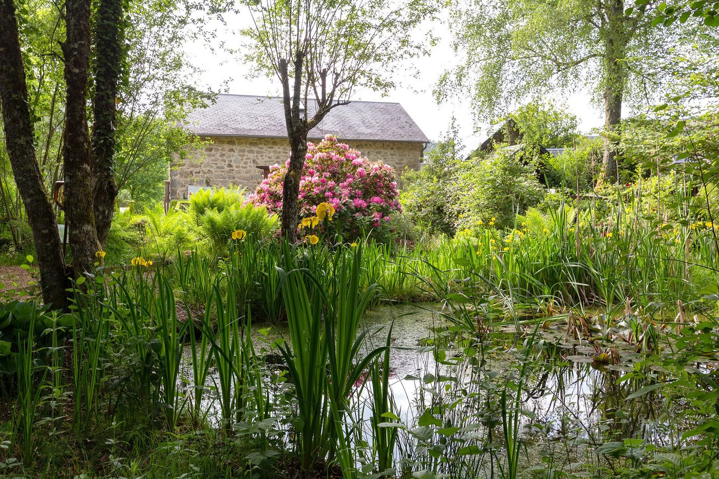 Jardin de la Cité des insectes