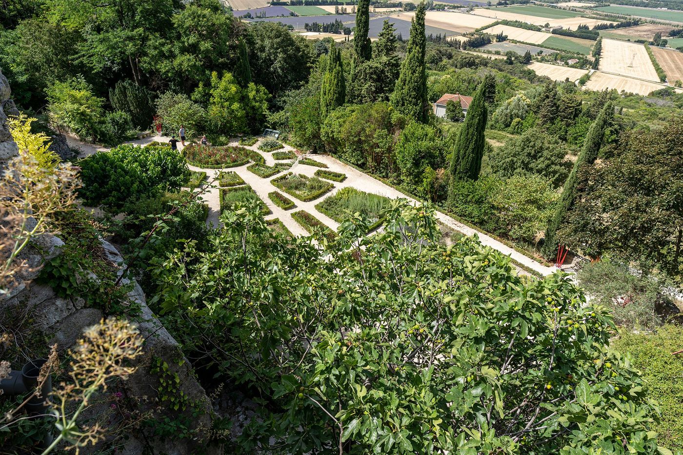 Jardin des Herbes - Garde-Adhémar
