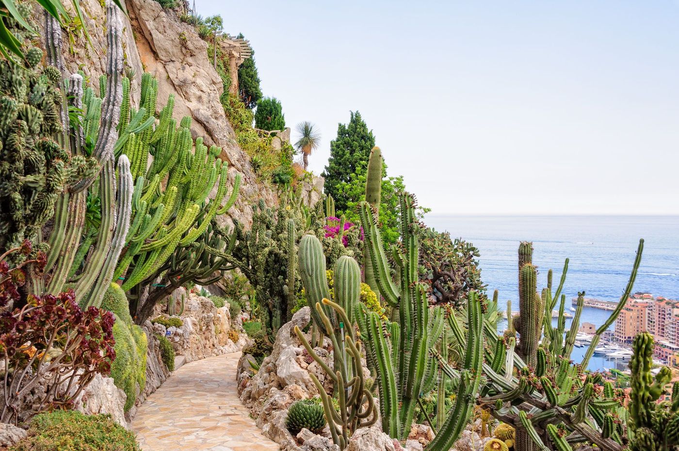 Jardin exotique Monaco Falaise