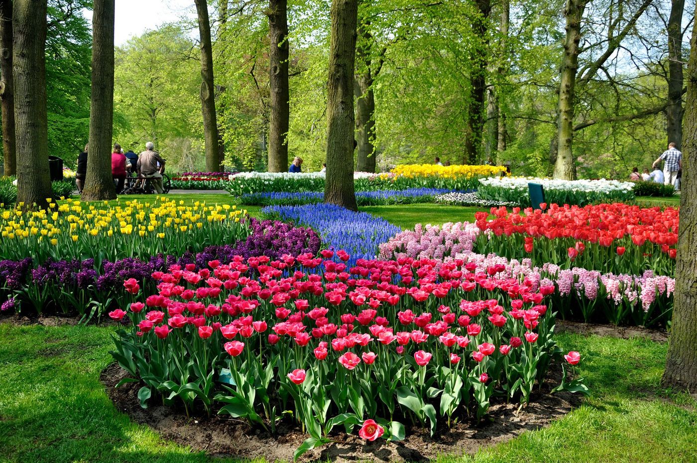 Jardin Keukenhof Lisse Pays Bas