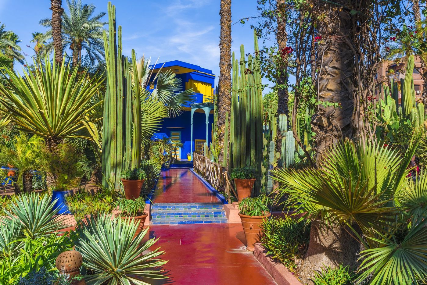 Jardin Majorelle Marrakech Maroc