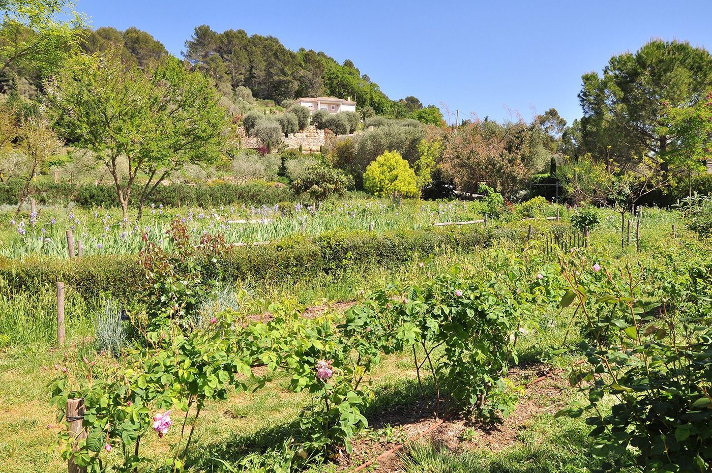 Côte d'Azur Jardin du MIP